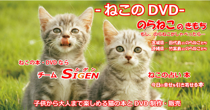 猫の本・動物動画・DVD制作販売【TEAM SIGEN（チームシゲン）】